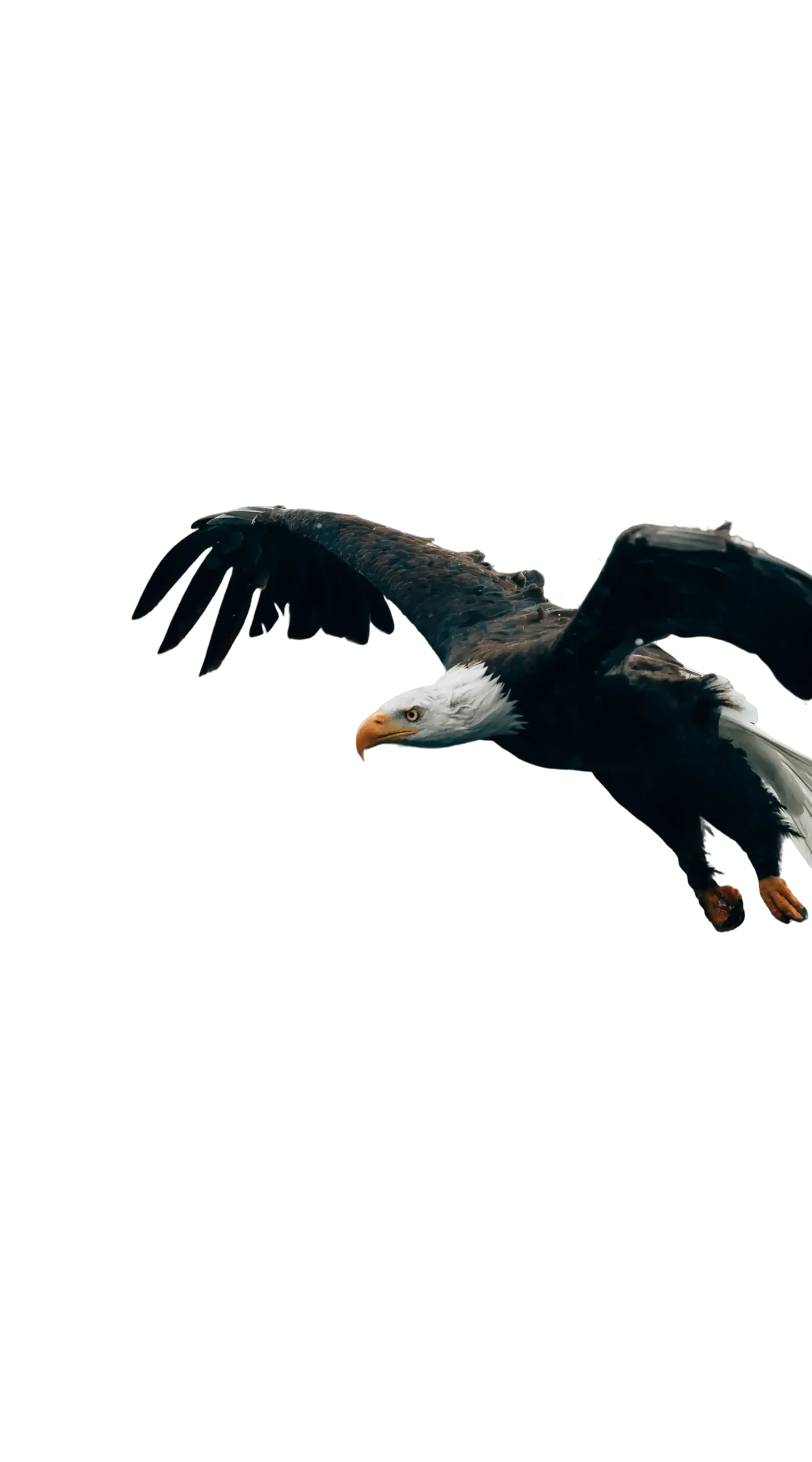 philipp-pilz-ID48ekBTlDo-unsplash 1